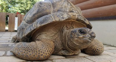🏞️ 시부카와 동물공원(시부카와 도부츠코엔) 이미지 2